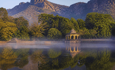 Still lake with reflections and birds