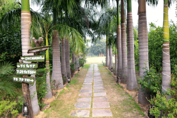 Swimming pool area